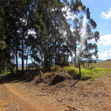 Imagem Fazenda à Venda, 240 m² em Jardim Do Contorno - Poços De Caldas Imagem Fazenda à Venda, 240 m² em Jardim Do Contorno - Poços De Caldas