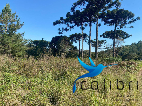 Imagem Terreno à Venda, 5.220 m² em Trigolândia - Piên Imagem Terreno à Venda, 5.220 m² em Trigolândia - Piên