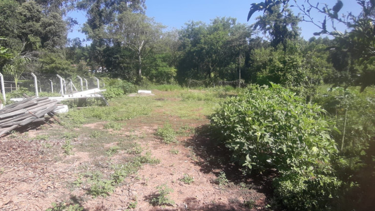 Imagem Chácara com 4 Quartos à Venda, 450 m² em Nova Suiça - Piracicaba Imagem Chácara com 4 Quartos à Venda, 450 m² em Nova Suiça - Piracicaba