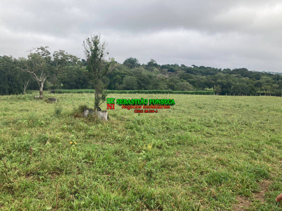 Chácara à Venda, 3 m² em Sob. Consulta - Caçapava