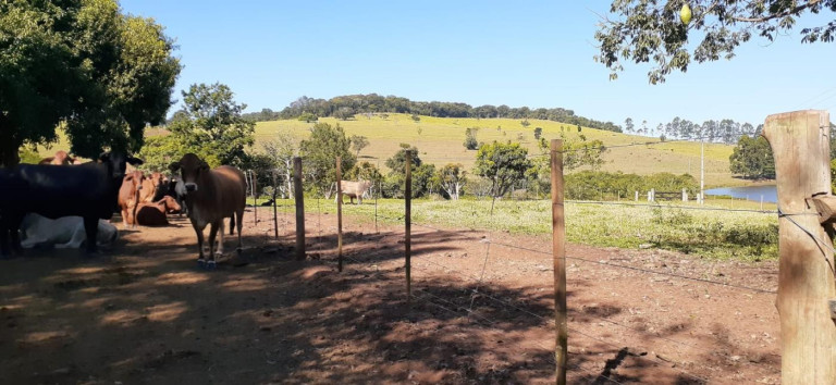 Imagem Fazenda à Venda, 158 m² em Rural - Avaré Imagem Fazenda à Venda, 158 m² em Rural - Avaré