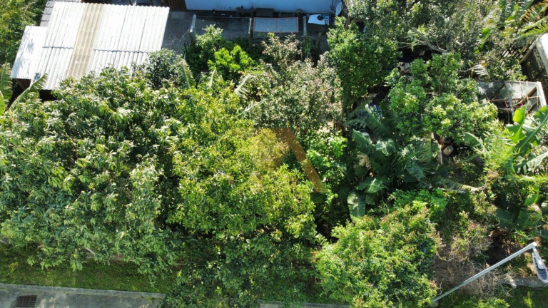 Imagem Imóvel com 3 Quartos à Venda, 156 m² em Campo D´una - Garopaba