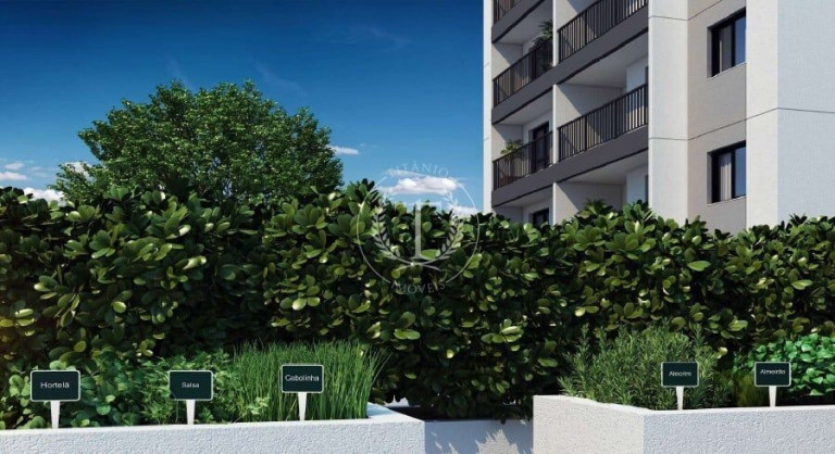Imagem Apartamento com 2 Quartos à Venda, 36 m² em Jabaquara - São Paulo