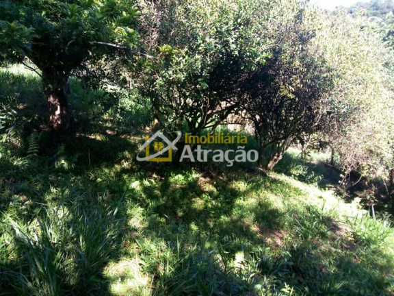 Imagem Terreno à Venda, 3.360 m² em Vila São Francisco - Suzano Imagem Terreno à Venda, 3.360 m² em Vila São Francisco - Suzano