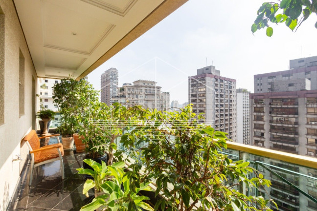 Imagem Apartamento com 4 Quartos à Venda, 450 m² em Jardim Europa - São Paulo Imagem Apartamento com 4 Quartos à Venda, 450 m² em Jardim Europa - São Paulo