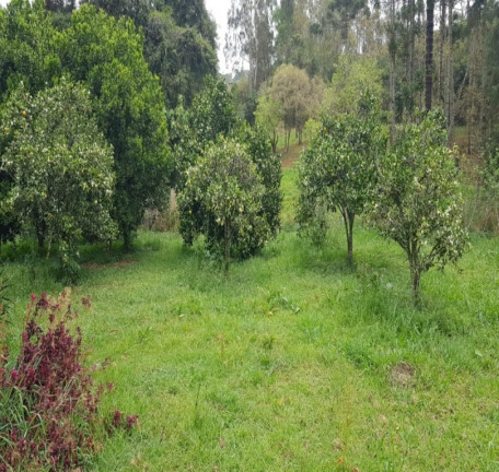 Imagem Imóvel à Venda, em Centro - Bocaina De Minas Imagem Imóvel à Venda, em Centro - Bocaina De Minas