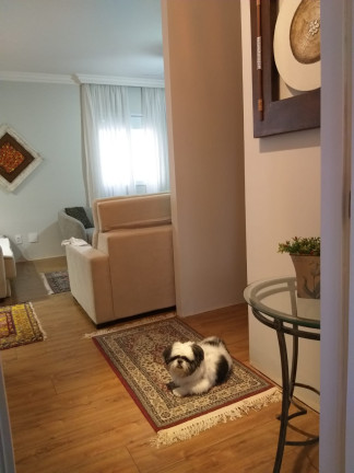 Imagem Imóvel com 3 Quartos à Venda, 143 m² em Vila Mascote - São Paulo Imagem Imóvel com 3 Quartos à Venda, 143 m² em Vila Mascote - São Paulo