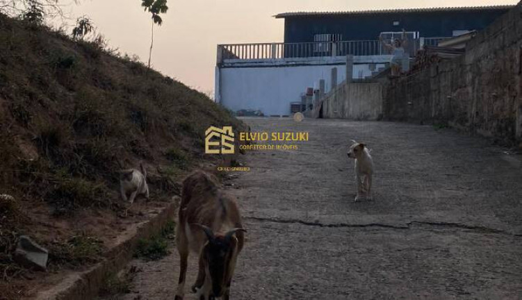 Imagem Chácara com 5 Quartos à Venda, 2.800 m² em Meu Sossego - Suzano