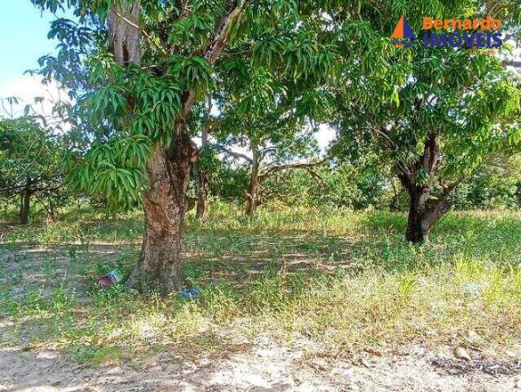 Imagem Chácara à Venda, 15 m² em Tijucussú - Cascavel Imagem Chácara à Venda, 15 m² em Tijucussú - Cascavel