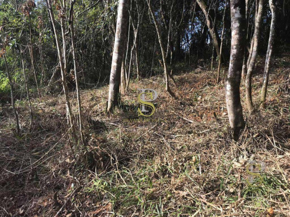 Imagem Terreno à Venda, 1.500 m² em Mairiporã - Mairiporã Imagem Terreno à Venda, 1.500 m² em Mairiporã - Mairiporã