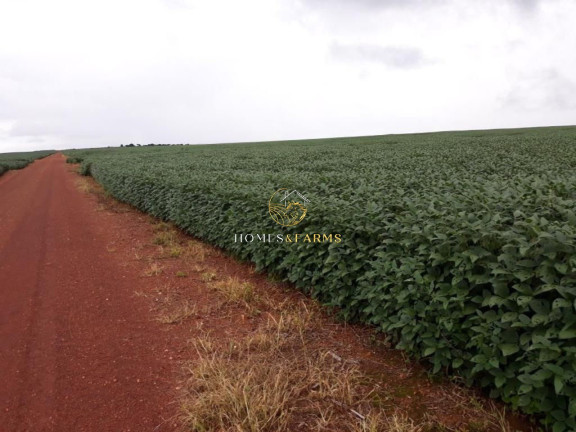 Imóvel com 3 Quartos à Venda, 17.897 m² em Zona Rural - água Boa