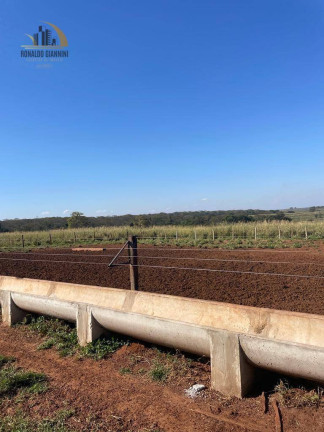Imagem Fazenda à Venda, 12.490.000 m² em Vila Maria - Santa Fé Do Sul Imagem Fazenda à Venda, 12.490.000 m² em Vila Maria - Santa Fé Do Sul