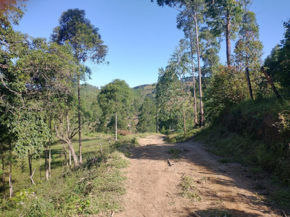 Imagem Chácara à Venda, 1.000 m² em Pocinhos Do Rio Verde - Caldas Imagem Chácara à Venda, 1.000 m² em Pocinhos Do Rio Verde - Caldas