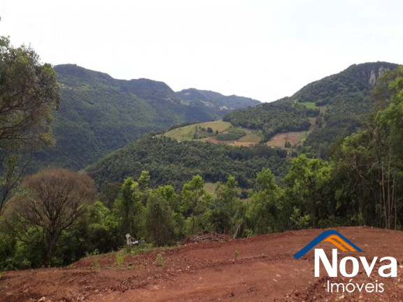 Imagem Imóvel à Venda, 31.701 m² em Linha Pirajá Baixa - Nova Petrópolis