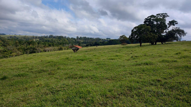 Imagem Fazenda à Venda, 64 m² em Rural - Itapetininga Imagem Fazenda à Venda, 64 m² em Rural - Itapetininga