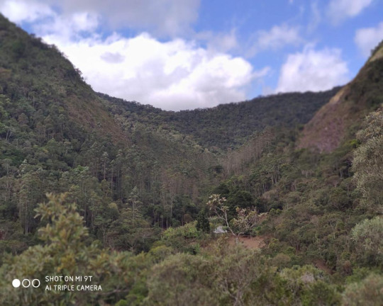 Imagem Imóvel à Venda, 2.500.000 m² em Fazenda Bela Vista - Nova Friburgo Imagem Imóvel à Venda, 2.500.000 m² em Fazenda Bela Vista - Nova Friburgo