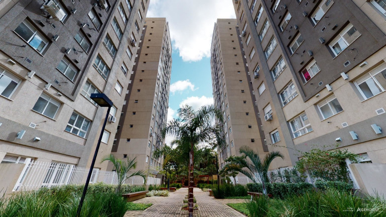 Imagem Apartamento com 2 Quartos à Venda, 55 m² em Jardim Carvalho - Porto Alegre Imagem Apartamento com 2 Quartos à Venda, 55 m² em Jardim Carvalho - Porto Alegre