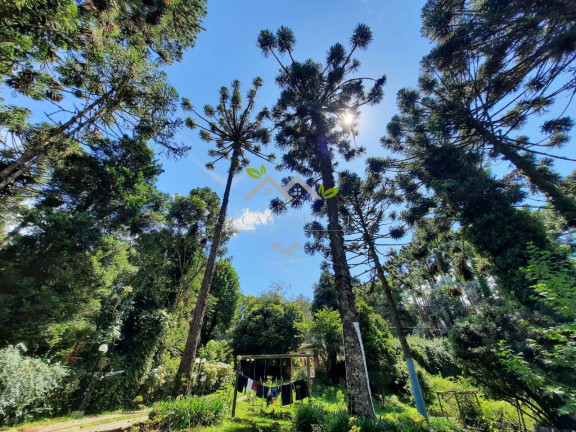 Imagem Casa com 5 Quartos à Venda, 566 m² em Jardim Embaixador - Campos Do Jordão Imagem Casa com 5 Quartos à Venda, 566 m² em Jardim Embaixador - Campos Do Jordão