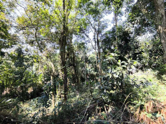 Imagem Terreno à Venda, 318 m² em Várzea Das Moças - Niterói Imagem Terreno à Venda, 318 m² em Várzea Das Moças - Niterói