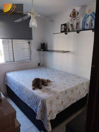 Imagem Apartamento com 2 Quartos à Venda, 56 m² em Jaraguá - São Paulo Imagem Apartamento com 2 Quartos à Venda, 56 m² em Jaraguá - São Paulo