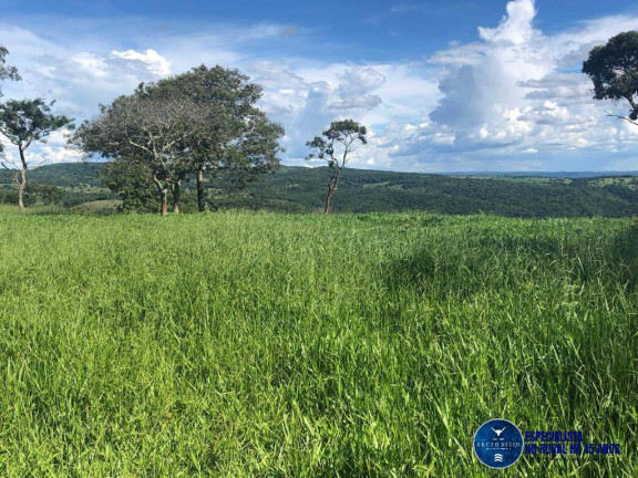 Imagem Fazenda à Venda, 52 m² em Zona Rural - Senador Canedo Imagem Fazenda à Venda, 52 m² em Zona Rural - Senador Canedo