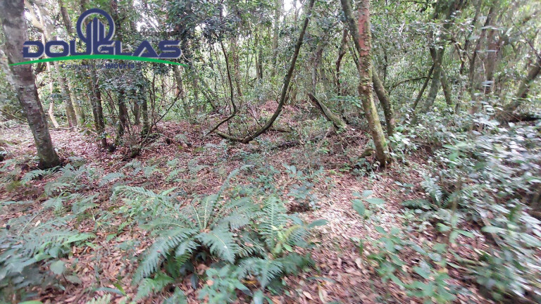 Imagem Chácara à Venda, 20.000 m² em águas Claras - Viamão Imagem Chácara à Venda, 20.000 m² em águas Claras - Viamão