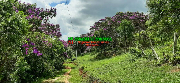 Imagem Chácara à Venda, 24 m² em Centro - São Luíz Do Paraitinga Imagem Chácara à Venda, 24 m² em Centro - São Luíz Do Paraitinga