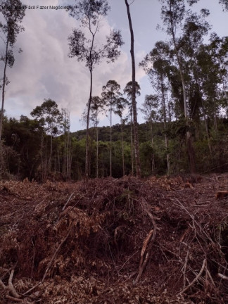 Imagem Terreno à Venda, 20.978 m² em Arroio Paixão - Nova Petrópolis