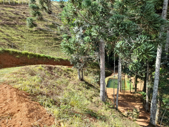 Imagem Imóvel com 2 Quartos à Venda, 10.430 m² em Capituvas - Bandeira Do Sul Imagem Imóvel com 2 Quartos à Venda, 10.430 m² em Capituvas - Bandeira Do Sul