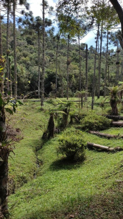 Imagem Casa com 2 Quartos à Venda, 150 m² em Paraibuna - Cunha Imagem Casa com 2 Quartos à Venda, 150 m² em Paraibuna - Cunha
