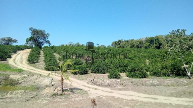 Imagem Fazenda à Venda, 555.000 m² em Sao Vicente - Araruama Imagem Fazenda à Venda, 555.000 m² em Sao Vicente - Araruama