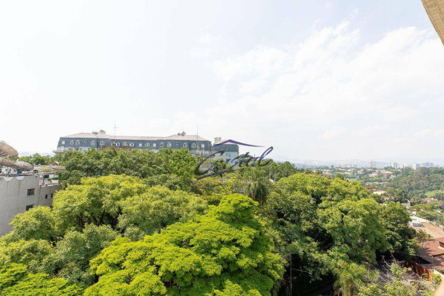 Imagem Apartamento com 3 Quartos à Venda, 230 m² em Morumbi - São Paulo Imagem Apartamento com 3 Quartos à Venda, 230 m² em Morumbi - São Paulo