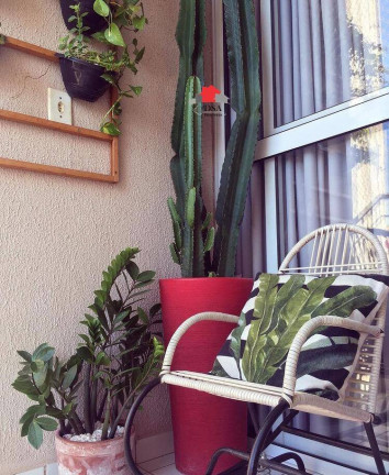 Imagem Apartamento com 2 Quartos à Venda, 50 m² em Jardim Recanto Dos Sonhos - Sumaré Imagem Apartamento com 2 Quartos à Venda, 50 m² em Jardim Recanto Dos Sonhos - Sumaré