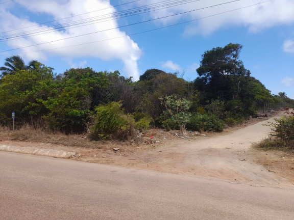 Imagem Terreno à Venda, 1.000 m² em Praia De Sibaúma - Tibau Do Sul Imagem Terreno à Venda, 1.000 m² em Praia De Sibaúma - Tibau Do Sul