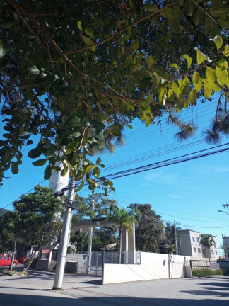 Imagem Apartamento com 2 Quartos à Venda, 72 m² em Vargem Do Bom Jesus - Florianópolis