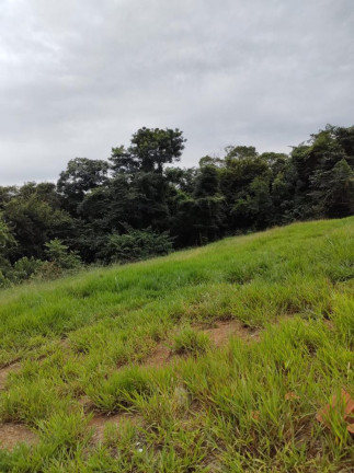 Imagem Terreno à Venda, 175 m² em Residencial São Conrado - Tatuí