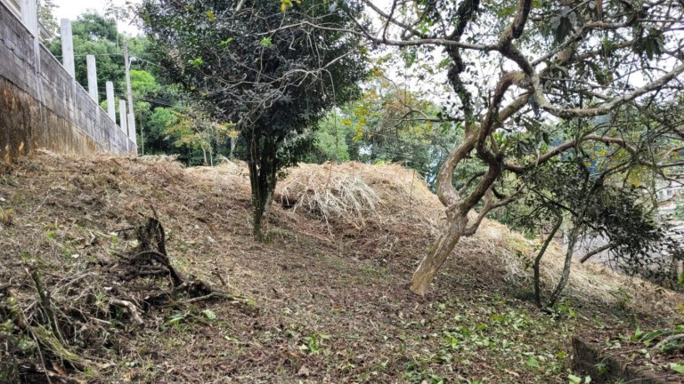 Imagem Terreno à Venda, 748 m² em Costa E Silva - Joinville Imagem Terreno à Venda, 748 m² em Costa E Silva - Joinville