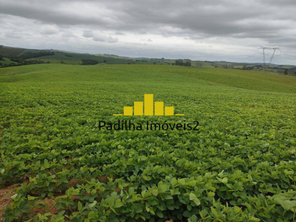 Imagem Chácara à Venda, 20 m² em Pilar Do Sul