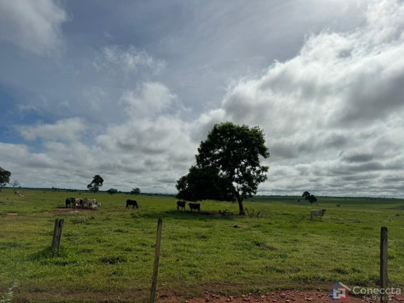Imagem Imóvel à Venda, 1.800.900 m² em Centro - Carneirinho Imagem Imóvel à Venda, 1.800.900 m² em Centro - Carneirinho