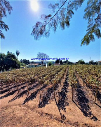 Imagem Imóvel com 2 Quartos à Venda, em Parque Da Grama - Indaiatuba Imagem Imóvel com 2 Quartos à Venda, em Parque Da Grama - Indaiatuba