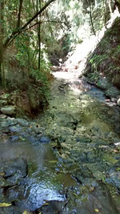 Imagem Terreno à Venda, 10.000 m² em Morro Alto - Itapetininga Imagem Terreno à Venda, 10.000 m² em Morro Alto - Itapetininga