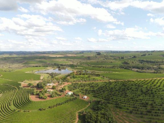 Imagem Fazenda à Venda, 399 m² em Centro - Santa Rosa Da Serra Imagem Fazenda à Venda, 399 m² em Centro - Santa Rosa Da Serra