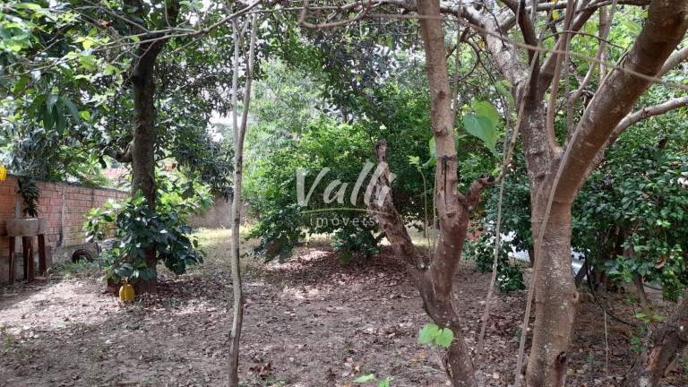 Imagem Imóvel com 3 Quartos à Venda, em Chácara Recreio Cruzeiro Do Sul - Santa Bárbara D'oeste Imagem Imóvel com 3 Quartos à Venda, em Chácara Recreio Cruzeiro Do Sul - Santa Bárbara D'oeste