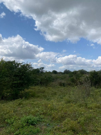 Imagem Fazenda à Venda, 310.000 m² em Br 116 - Euclides Da Cunha Imagem Fazenda à Venda, 310.000 m² em Br 116 - Euclides Da Cunha
