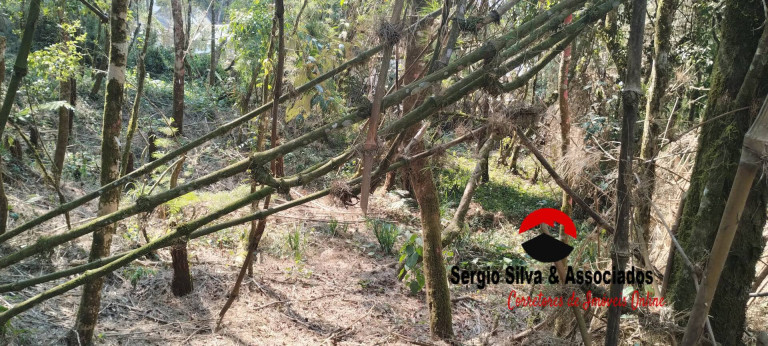 Imagem Terreno à Venda, 1 m² em Campos Do Jordão Imagem Terreno à Venda, 1 m² em Campos Do Jordão