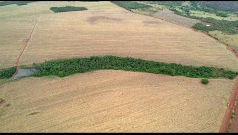 Imagem Fazenda à Venda, 600 m² em Piracanjuba Imagem Fazenda à Venda, 600 m² em Piracanjuba