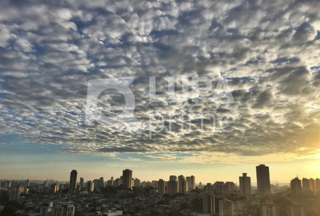 Imagem Apartamento com 2 Quartos à Venda, 70 m² em Mandaqui - São Paulo Imagem Apartamento com 2 Quartos à Venda, 70 m² em Mandaqui - São Paulo