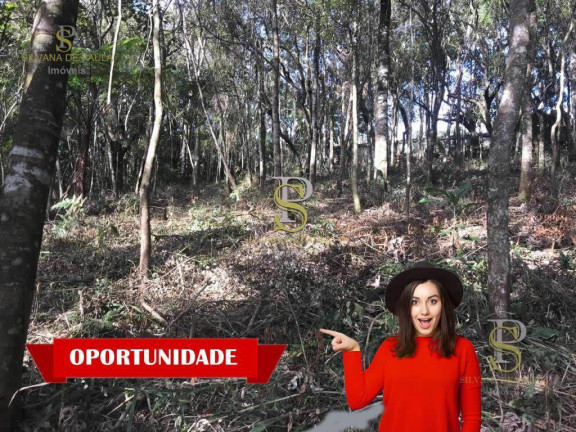 Terreno à Venda, 1.500 m² em Mairiporã - Mairiporã