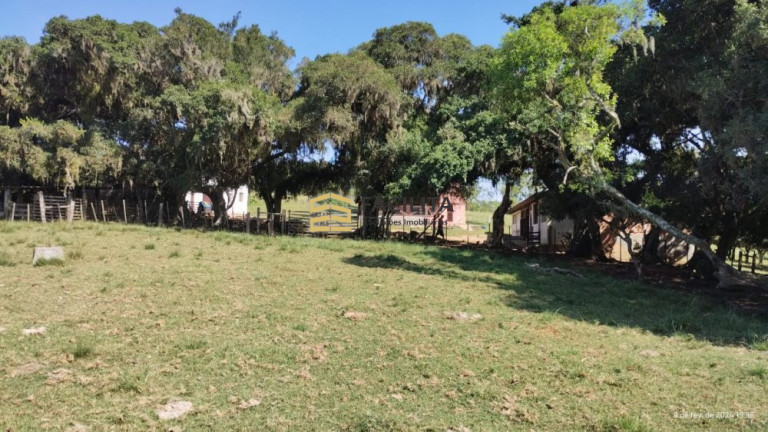 Imagem Imóvel com 2 Quartos à Venda, 180.000 m² em Capela Da Buena - Morro Redondo Imagem Imóvel com 2 Quartos à Venda, 180.000 m² em Capela Da Buena - Morro Redondo