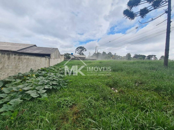 Imagem Terreno à Venda, em Planta Laranjeiras - Piraquara Imagem Terreno à Venda, em Planta Laranjeiras - Piraquara